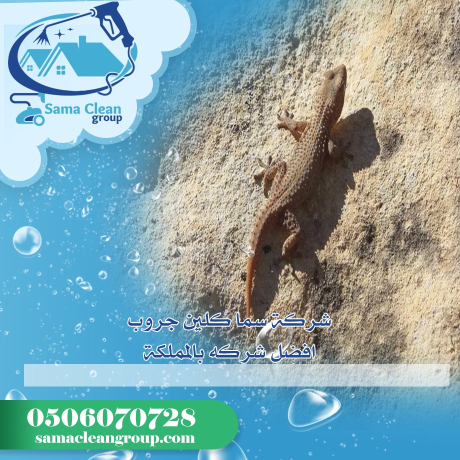 شركة مكافحة الابراص بمكة 3  شركة مكافحة الابراص بمكة