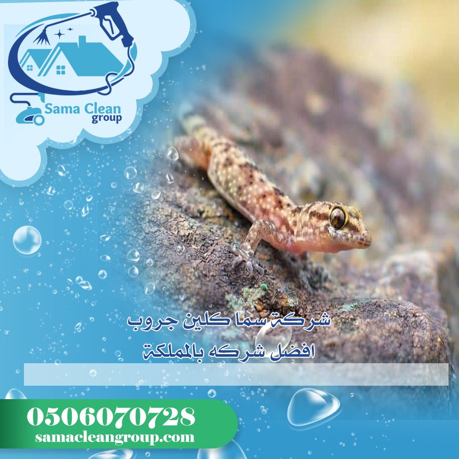 شركة مكافحة الابراص بمكة 2 شركة مكافحة الابراص بمكة