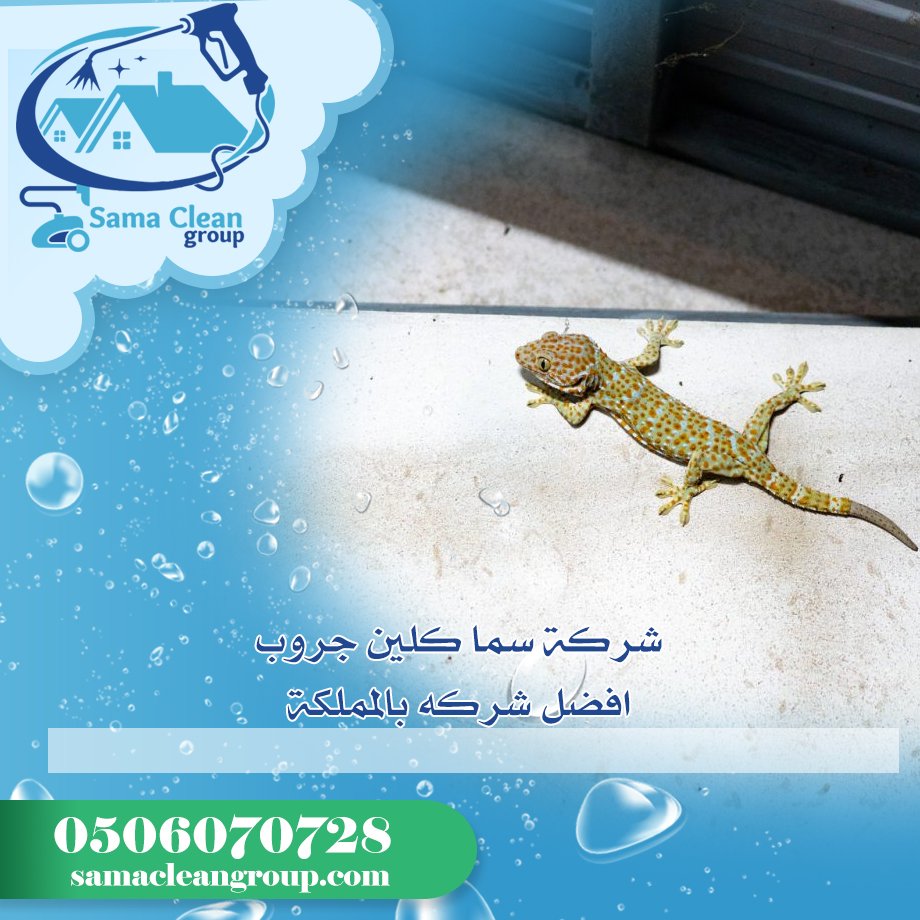 شركة مكافحة الابراص بمكة 4 شركة مكافحة الابراص بمكة