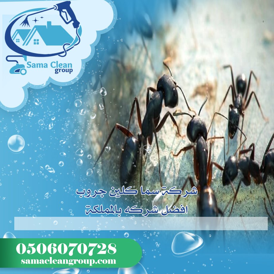 شركة مكافحة النمل الاسود بمكة 2 شركة مكافحة النمل الابيض بمكة
