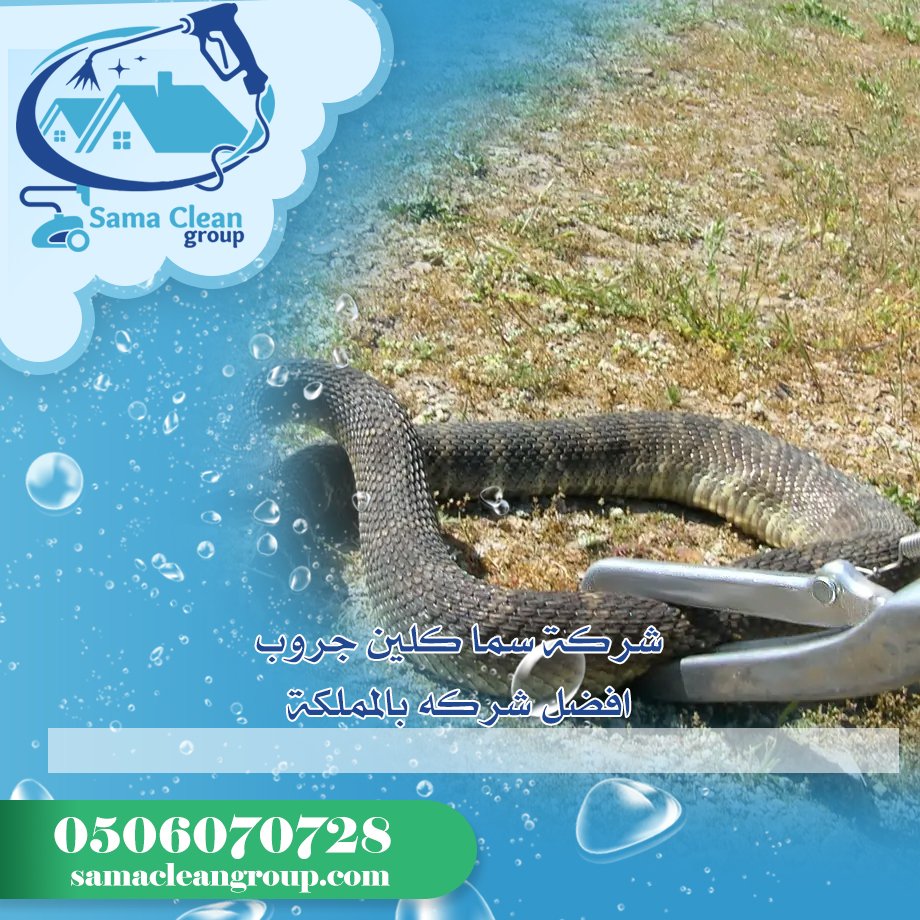 شركة مكافحة الثعابين بمكة 4 شركة مكافحة الثعابين بمكة