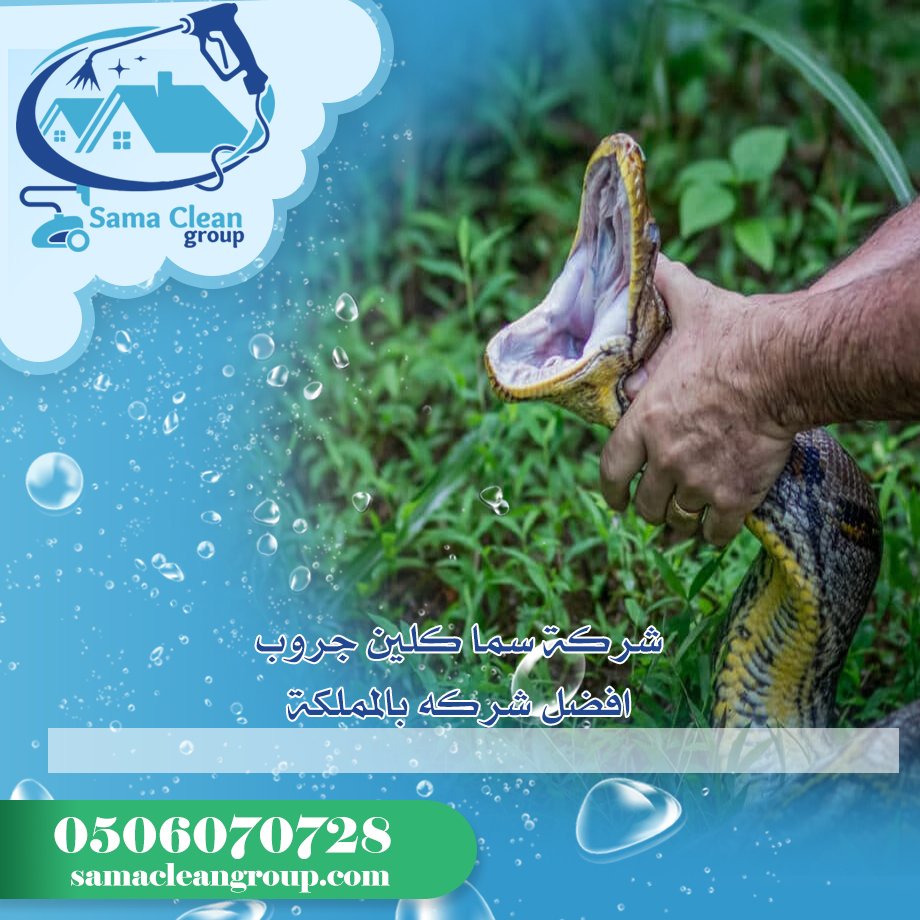 شركة مكافحة الثعابين بمكة 3  شركة مكافحة الثعابين بمكة