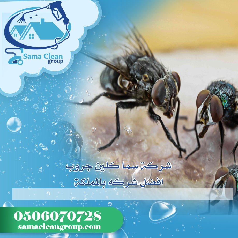 شركة مكافحة الذباب بمكة 4 شركة مكافحة الذباب بمكة