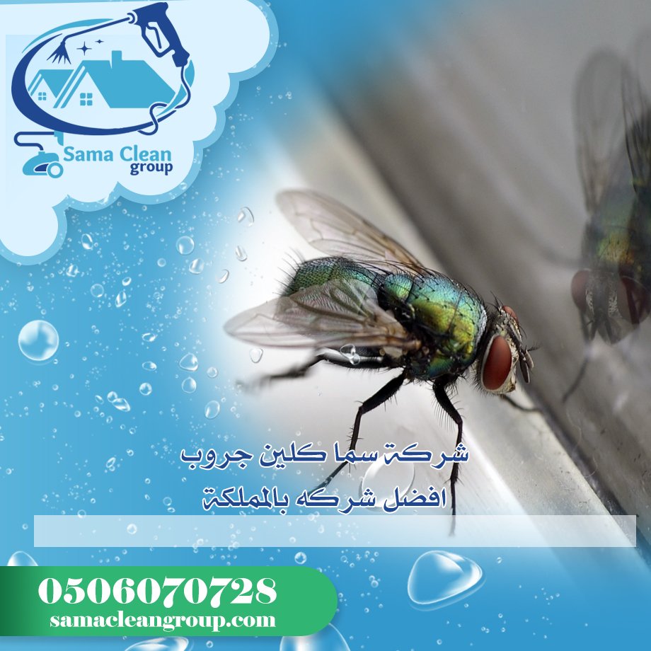 شركة مكافحة الذباب بمكة 3 شركة مكافحة الذباب بمكة