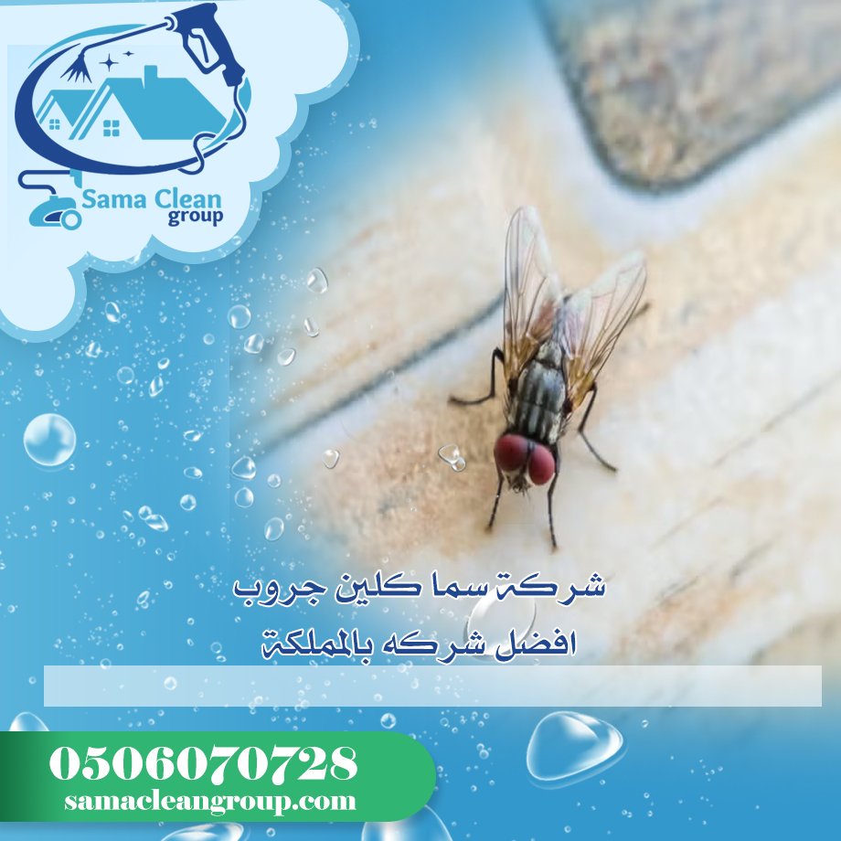 شركة مكافحة الذباب بمكة 5 شركة مكافحة الذباب بمكة