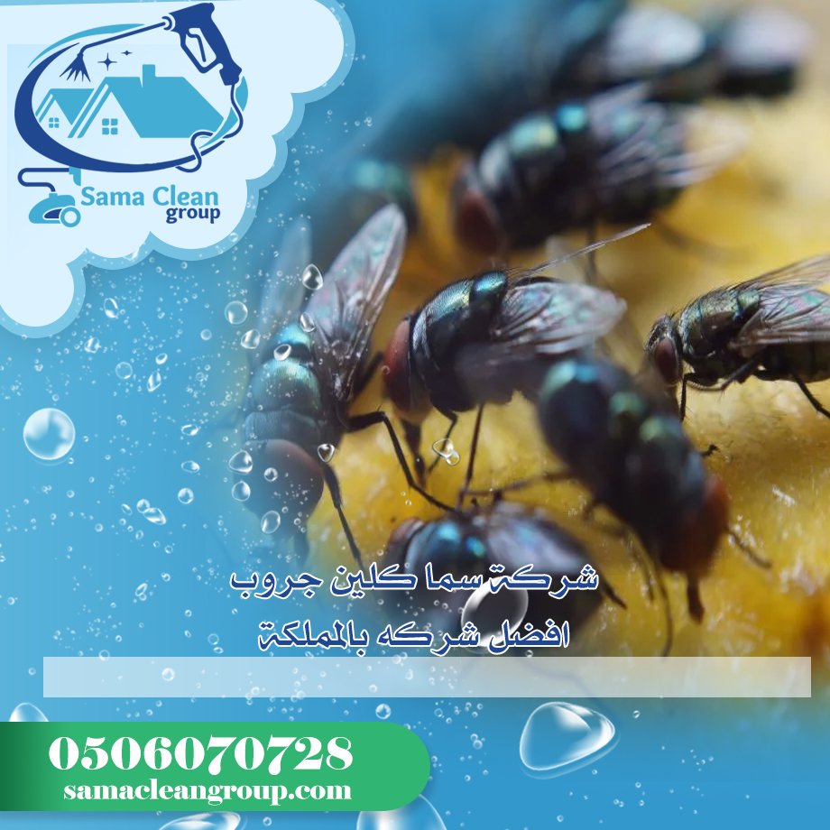 شركة مكافحة الذباب بمكة 2 شركة مكافحة الذباب بمكة