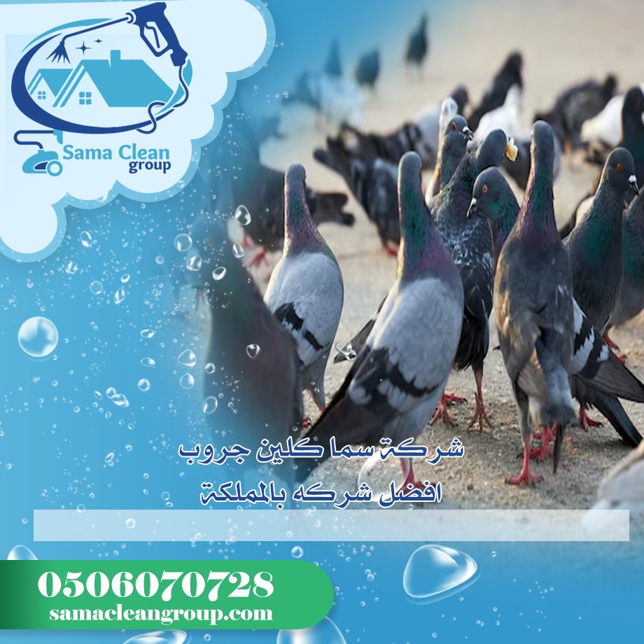 شركة مكافحة الحمام بمكة 5 شركة مكافحة الحمام بمكة