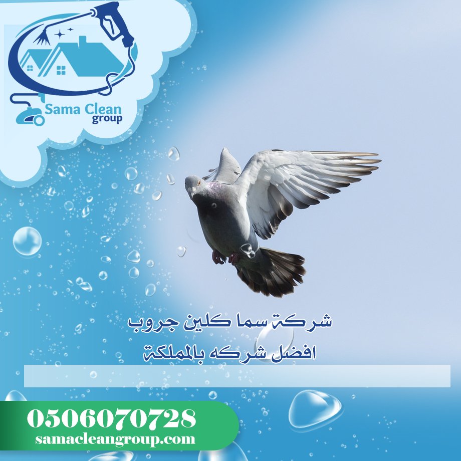 شركة مكافحة الحمام بمكة 3 شركة مكافحة الحمام بمكة