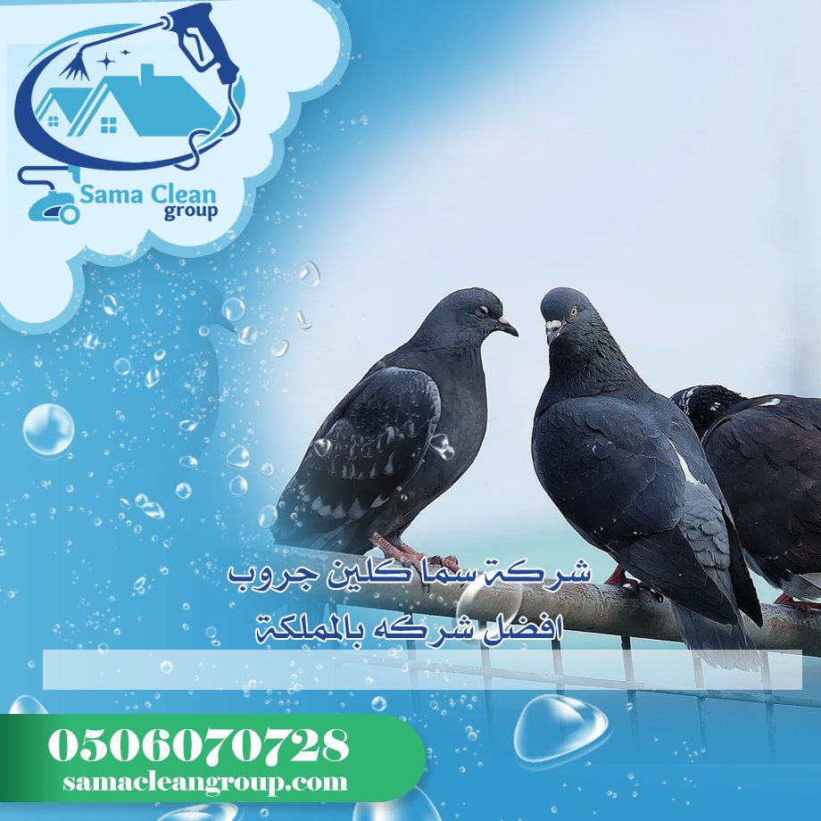 شركة مكافحة الحمام بمكة 2 شركة مكافحة الحمام بمكة