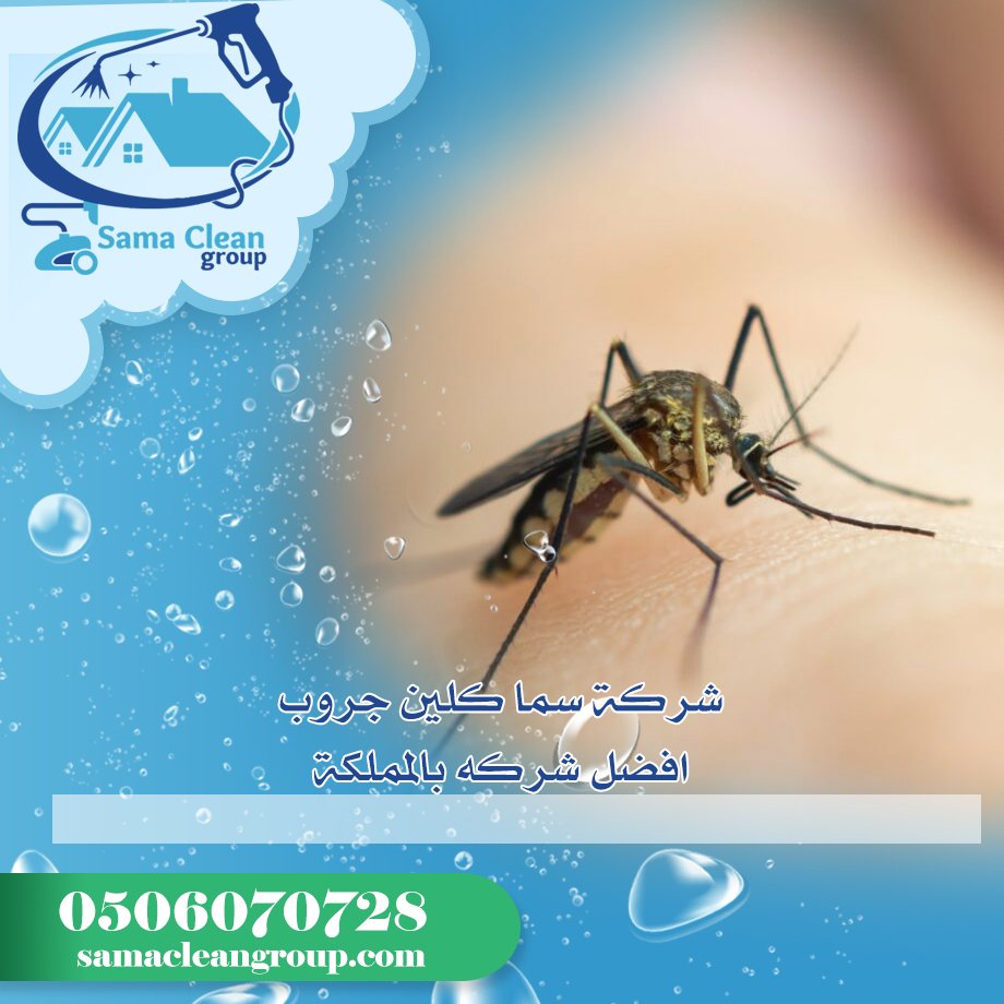 شركة مكافحة الناموس بمكة 2 شركة مكافحة الناموس بمكة