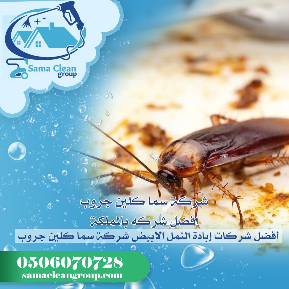 شركة مكافحة صراصير بمكة 5 شركة مكافحة صراصير بمكة