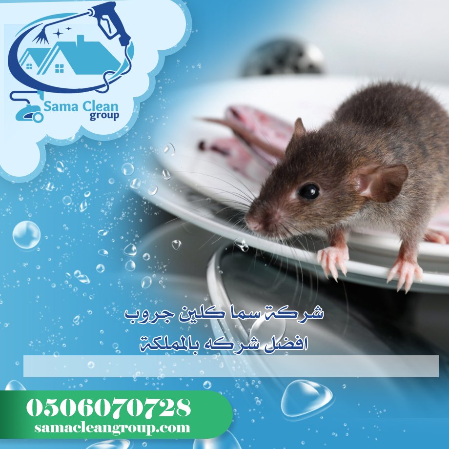 شركة مكافحة الفئران بمكة 2 شركة مكافحة الفئران بمكة