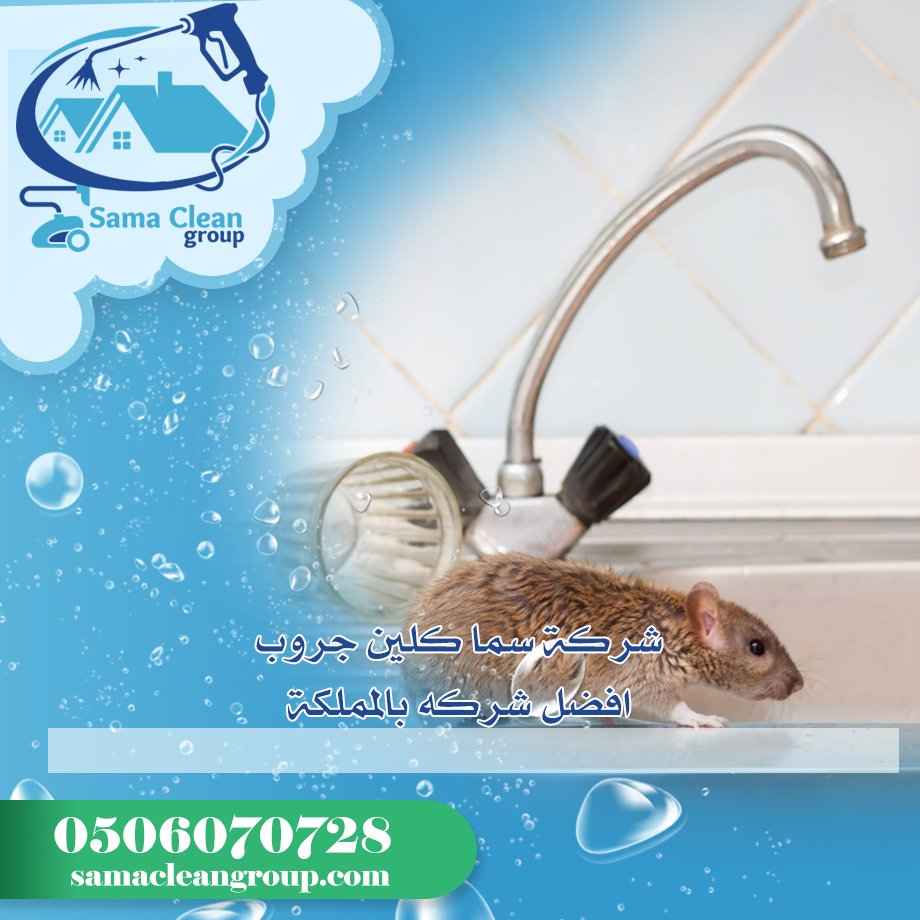 شركة مكافحة الفئران بمكة 3 شركة مكافحة الفئران بمكة