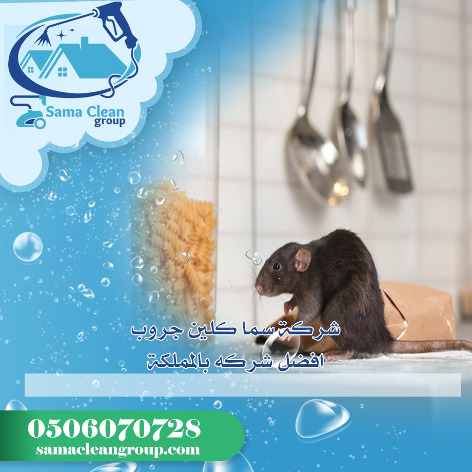 شركة مكافحة الفئران بمكة