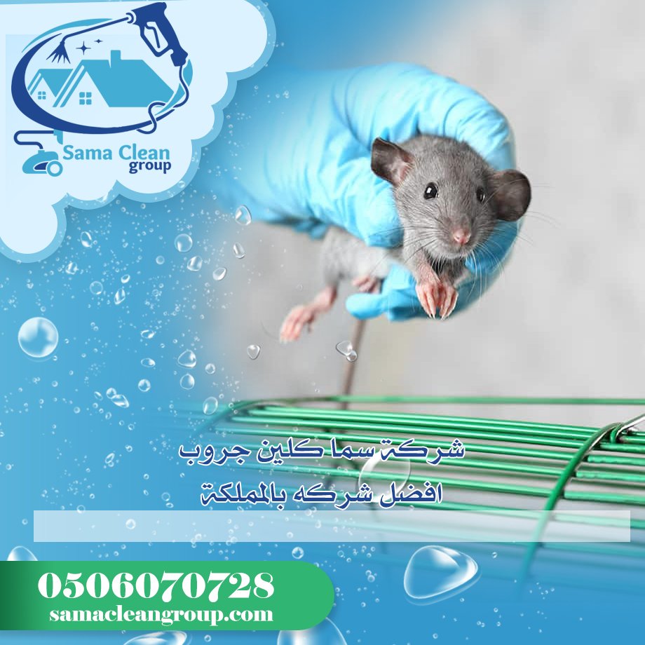 شركة مكافحة الفئران بمكة