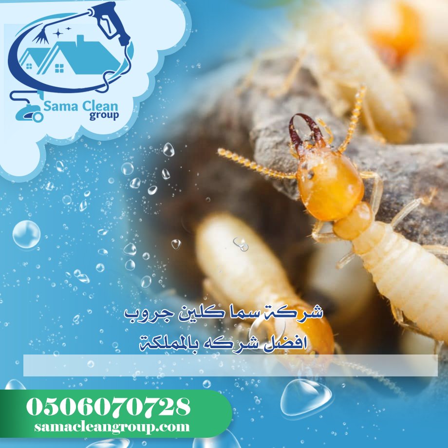شركة مكافحة الرمة بمكة