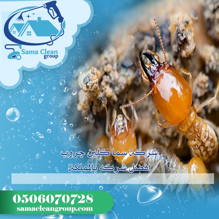 شركة مكافحة الرمة بمكة