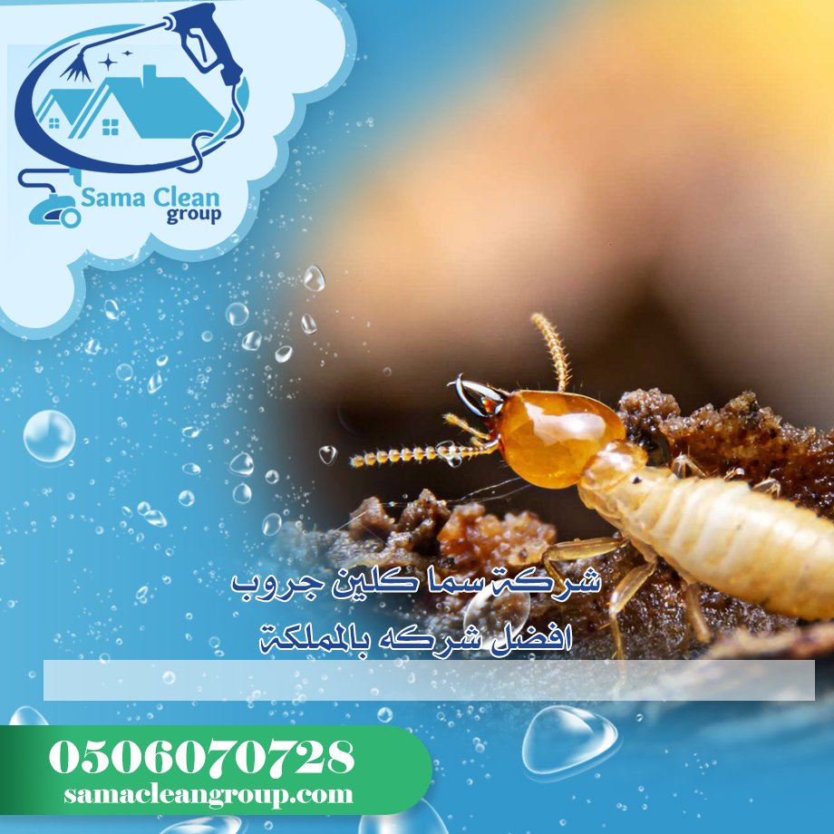 شركة مكافحة الرمة بمكة