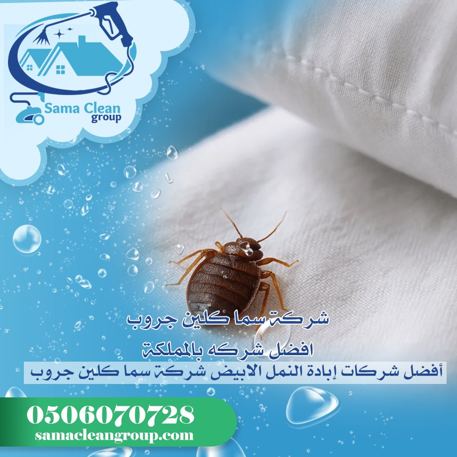 شركة مكافحة بق الفراش بمكة 5 شركة مكافحة بق الفراش بمكة
