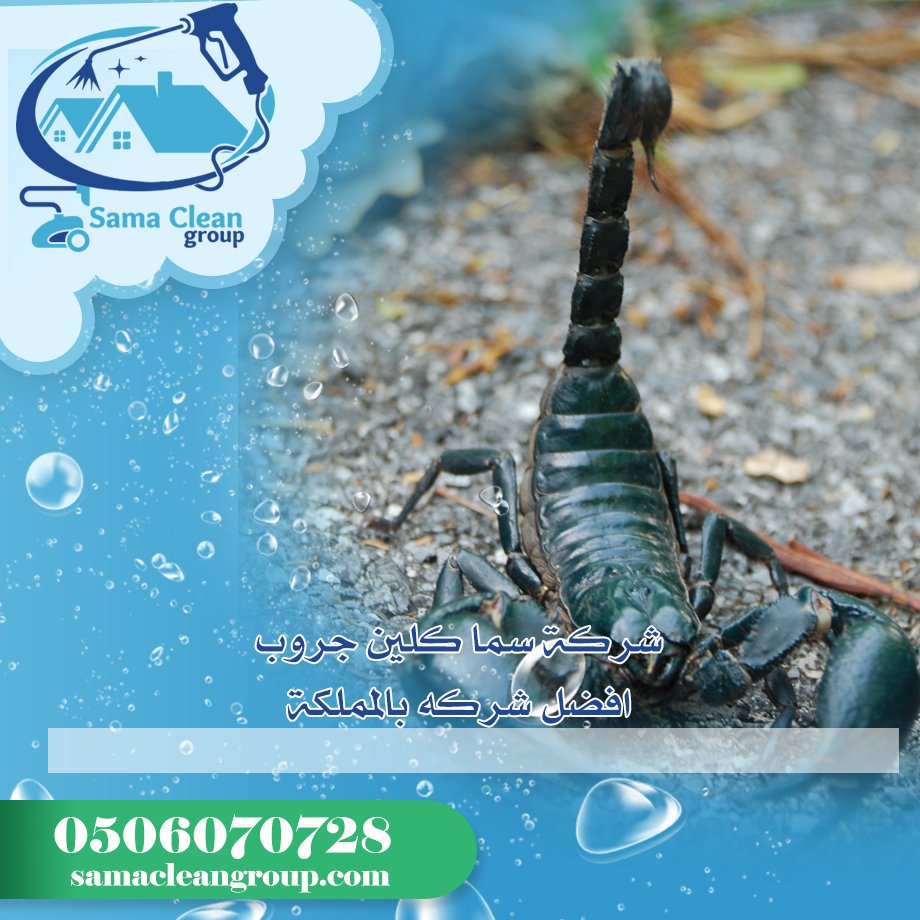 شركة مكافحة العقارب بمكة 2 شركة مكافحة العقارب بمكة
