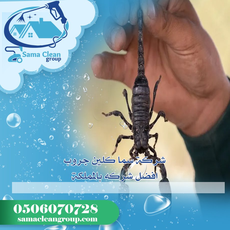 شركة مكافحة العقارب بمكة 4 شركة مكافحة العقارب بمكة