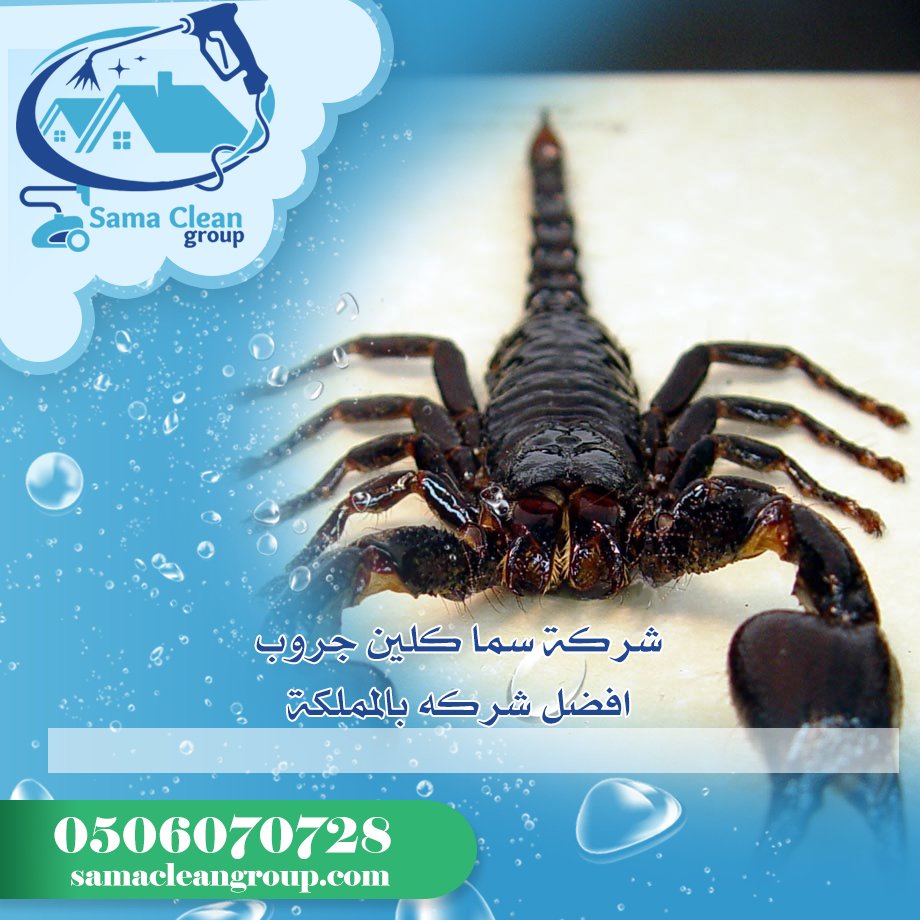 شركة مكافحة العقارب بمكة 5 شركة مكافحة العقارب بمكة
