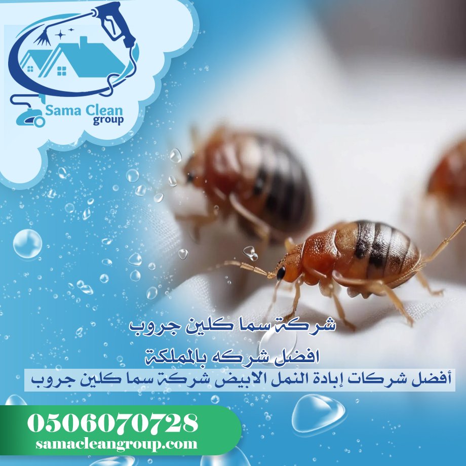 شركة مكافحة بق الفراش بمكة 2 شركة مكافحة بق الفراش بمكة