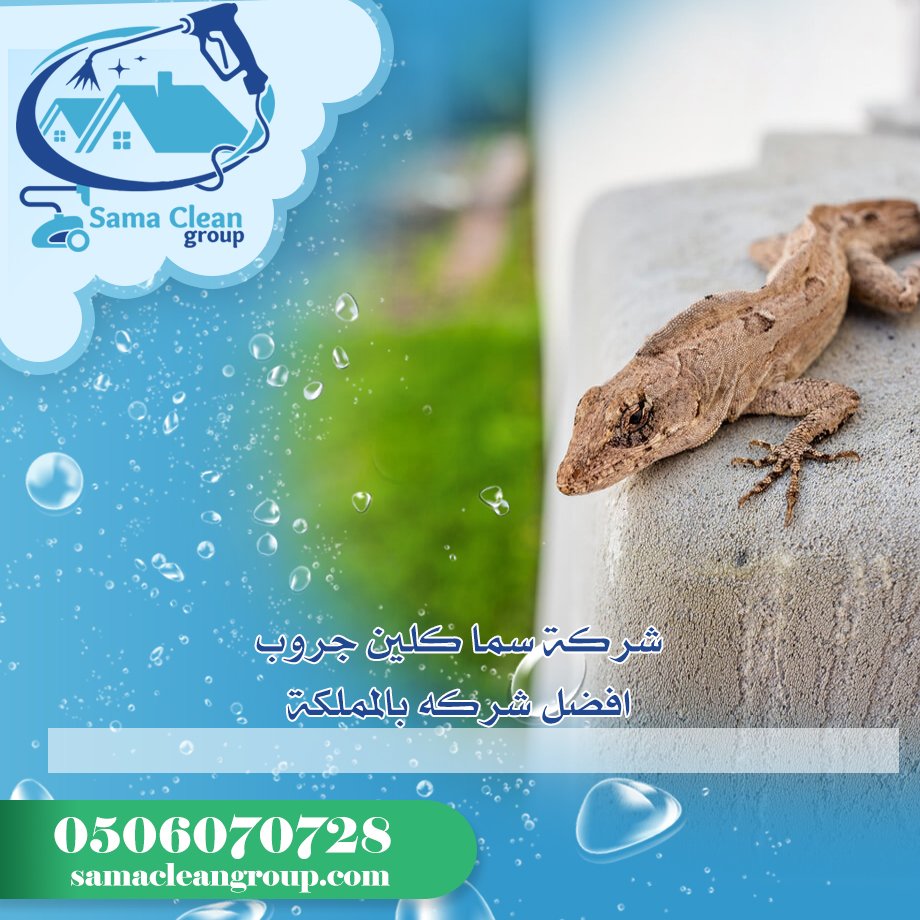 شركة مكافحة الابراص بمكة 5 شركة مكافحة الابراص بمكة