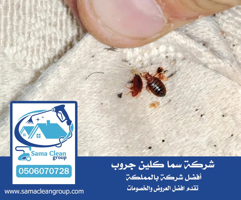 شركة مكافحة بق الفراش بجدة 6 شركة مكافحة بق الفراش بجدة