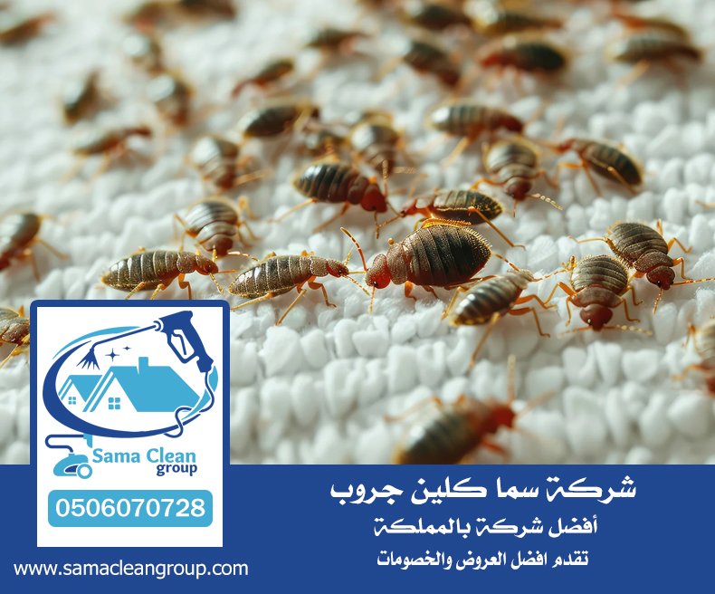 شركة مكافحة بق الفراش بجدة 10 شركة مكافحة بق الفراش بجدة
