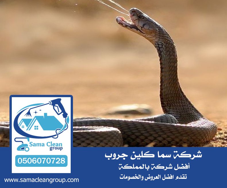 شركة مكافحة الثعابين بمكة 5 شركة مكافحة الثعابين بمكة
