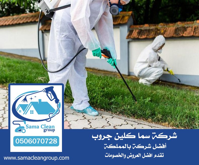 شركة مكافحة الخفافيش بجدة 5 شركة مكافحة الخفافيش بجدة