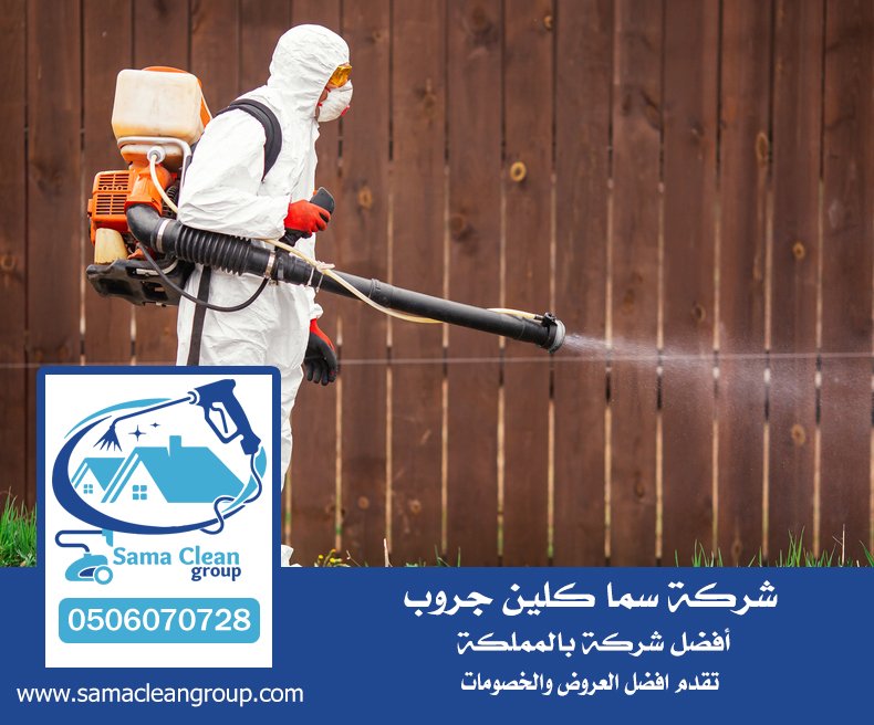 شركة مكافحة الابراص بمكة 5 شركة مكافحة الابراص بمكة