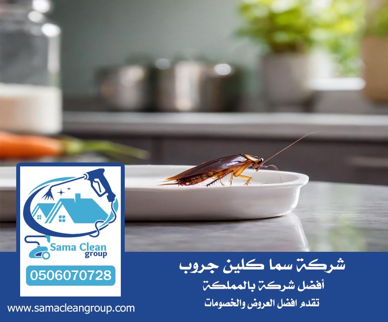 شركه رش صراصير بمكة 5 شركه رش صراصير بمكة