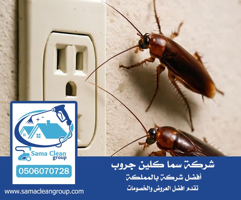 شركه رش صراصير بجدة 5 شركه رش صراصير بجدة