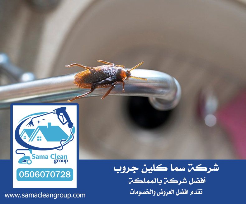 شركه رش صراصير بجدة 4 شركه رش صراصير بجدة