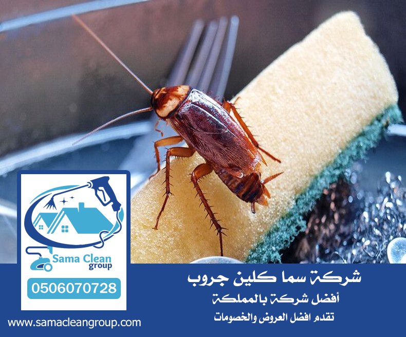 شركه رش صراصير بجدة 3 شركه رش صراصير بجدة