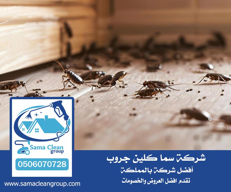 شركة مكافحة صراصير بمكة 3 شركة مكافحة صراصير بمكة