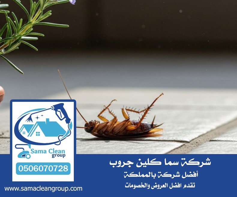 شركة مكافحة صراصير بمكة 4 شركة مكافحة صراصير بمكة