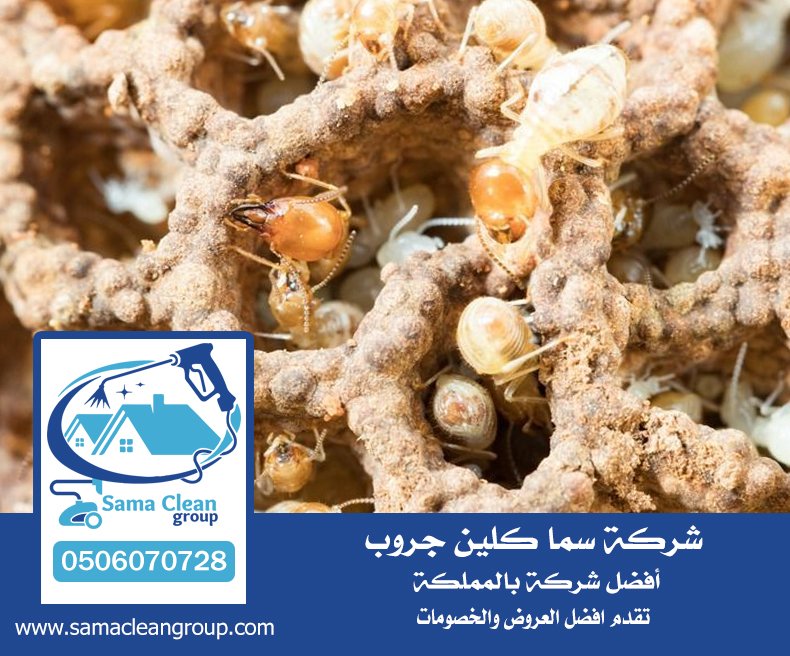 شركة مكافحه النمل الابيض بجدة 2 شركة مكافحه النمل الابيض بجدة