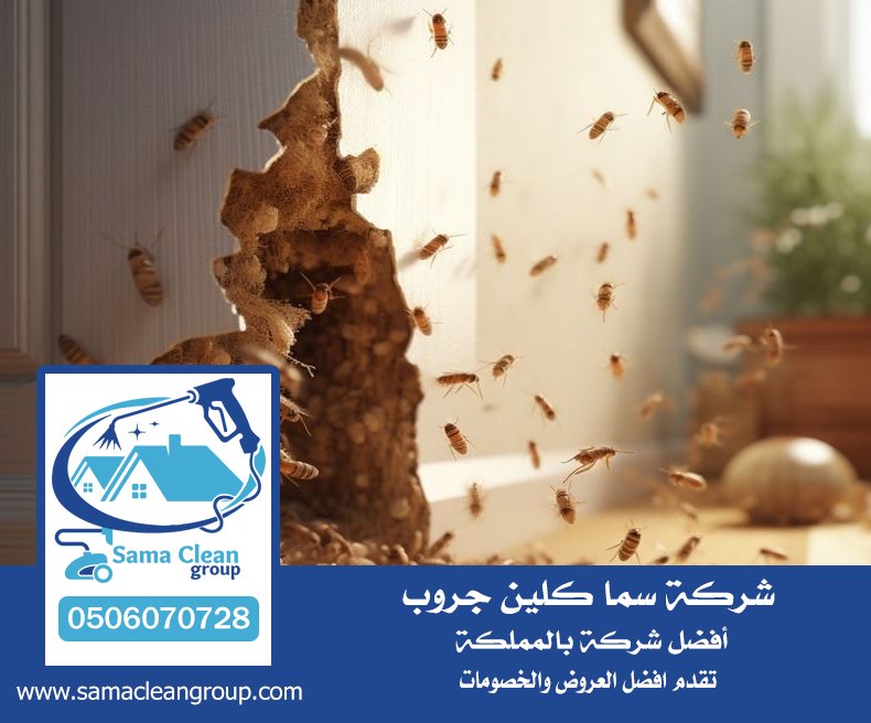 شركة مكافحه النمل الابيض بجدة 4 شركة مكافحه النمل الابيض بجدة
