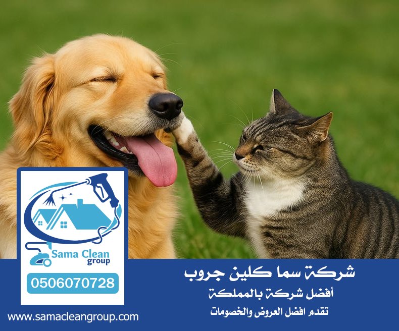 مكافحة الحيوانات الضالة القطط والكلاب والحيوانات الجبليه بجده 0 3 مكافحة الحيوانات الضالة القطط والكلاب والحيوانات الجبليه بجده 0