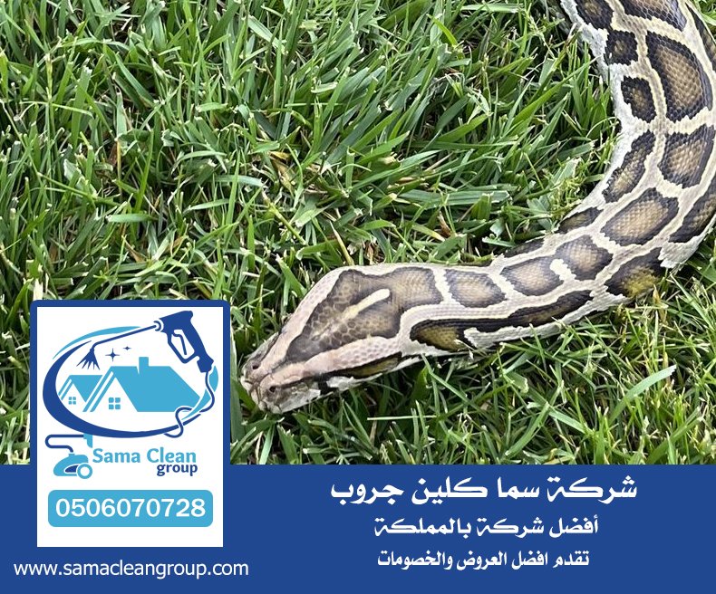 شركة مكافحة الافاعي بمكة 2 شركة مكافحة الافاعي بمكة