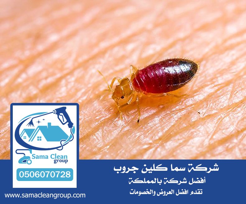 شركه رش بق بمكة 21 شركه رش بق بمكة