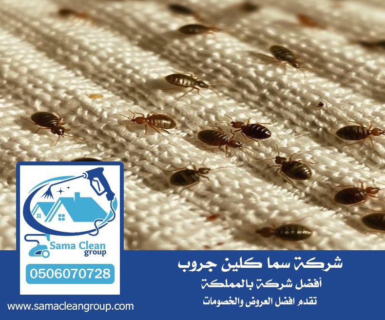 شركه رش بق بمكة 4 شركه رش بق بمكة