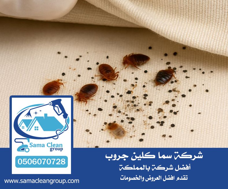 شركه رش بق بمكة 3 شركه رش بق بمكة