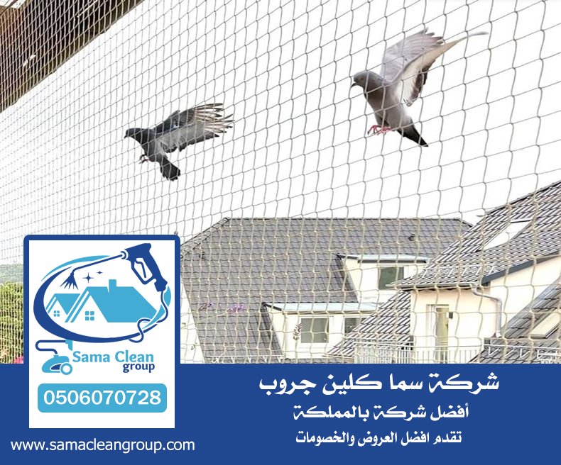 شركة تركيب طارد الحمام بجدة 3 شركة تركيب طارد الحمام بجدة