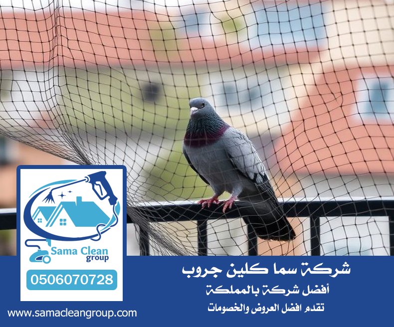 شركة مكافحة الحمام بمكة 3 شركة مكافحة الحمام بمكة