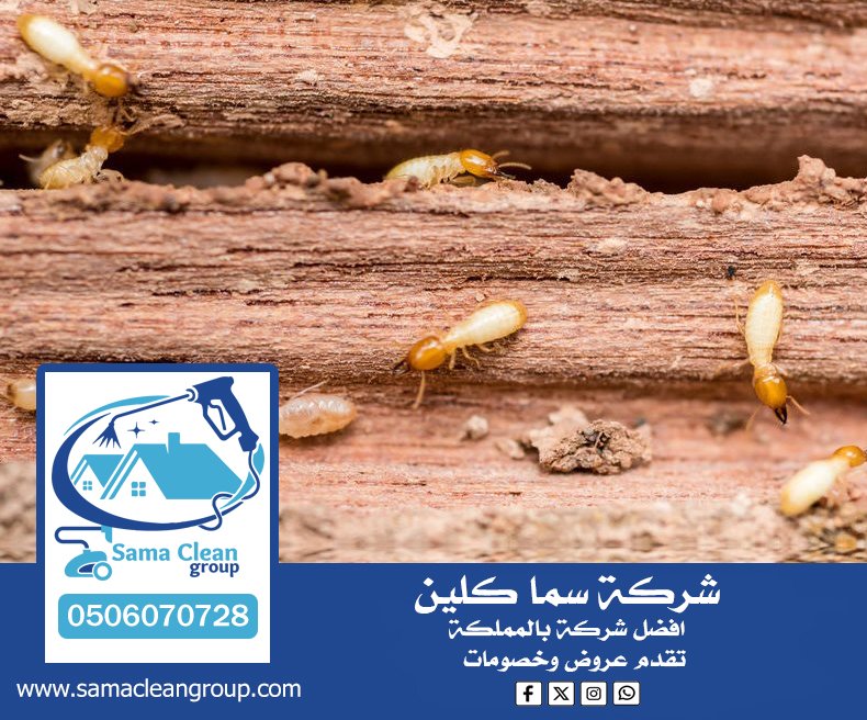 شركة مكافحة النمل الابيض بمكة 5 شركة مكافحة النمل الابيض بمكة