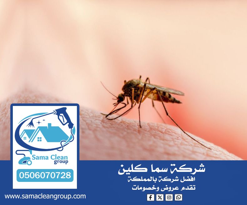 شركة مكافحة الناموس بجدة 29 شركة مكافحة الناموس بجدة